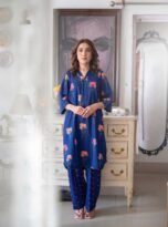 ENGLISH-ROSE-BLUE-STRIPED-WITH-SALWAR3